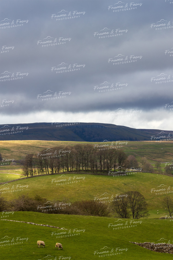 To buy a print or any of the below please click on the images